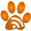 RSS Feed